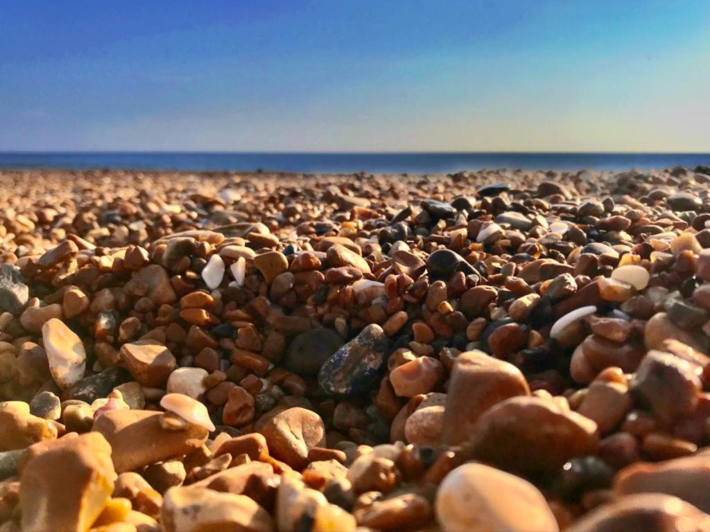 Brighton Palms Apartment ภายนอก รูปภาพ